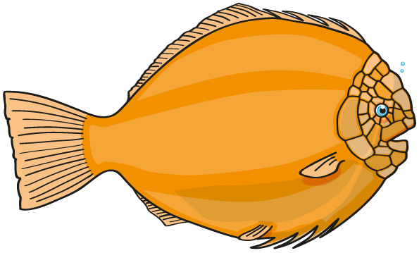 Big orange fish